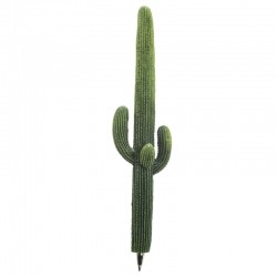 Długopis kaktus teksański
